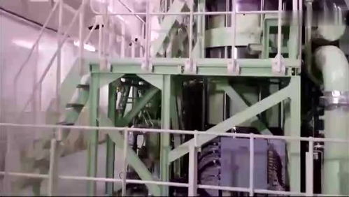 集裝箱船的發動機 機電設備實拍 頭一次見